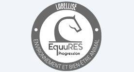 Equures Progression